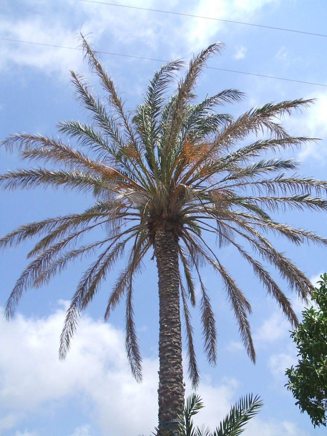Esterno dei Dammusi La Palma a Pantelleria